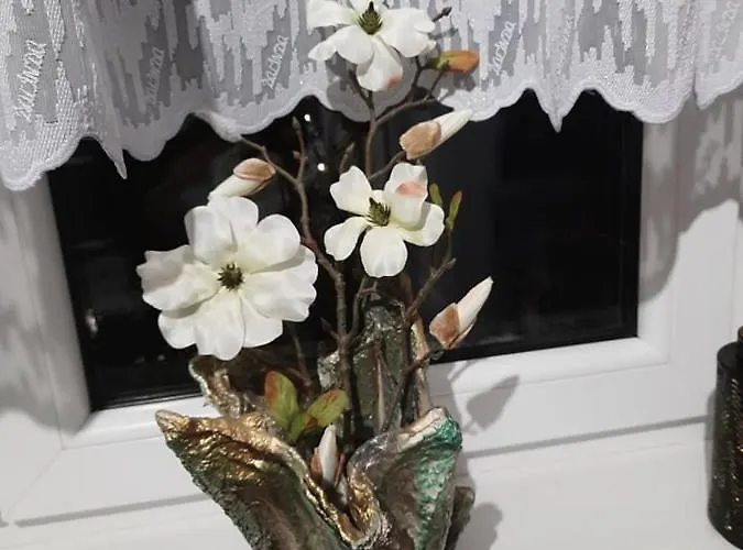 בית אירוח Osiakowka